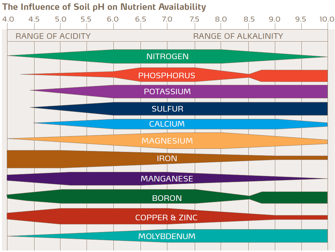 Importance Of Calcium Magnesium In Agriculture